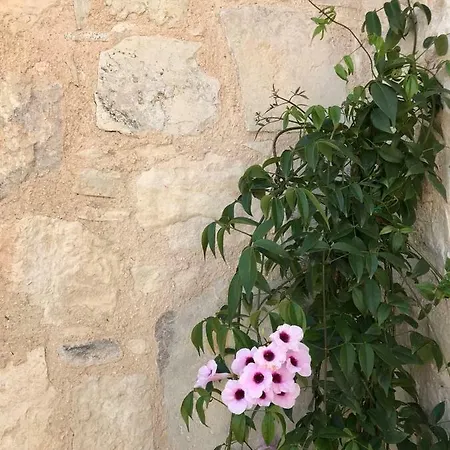 Country house Stone House